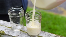 Производство сырого молока выросло на 1,5%