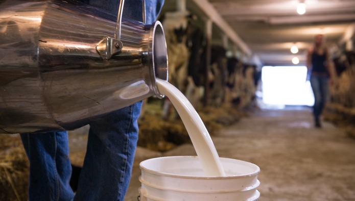 Производство сырого молока выросло на 2,7%