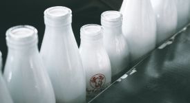 Экспорт молочных продуктов из России снизился на 11% в начале 2019 года
