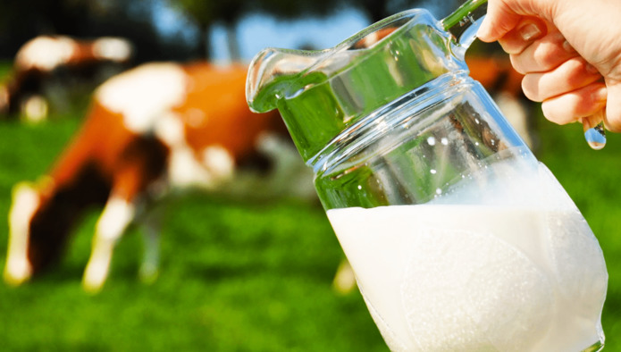 «Ъ»: рост производства молока в России замедлился в текущем году до 2%