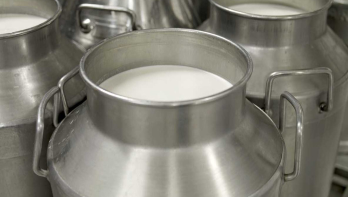 Калининградское АО «Молоко» снизит цены закупа молока-сырья у фермеров