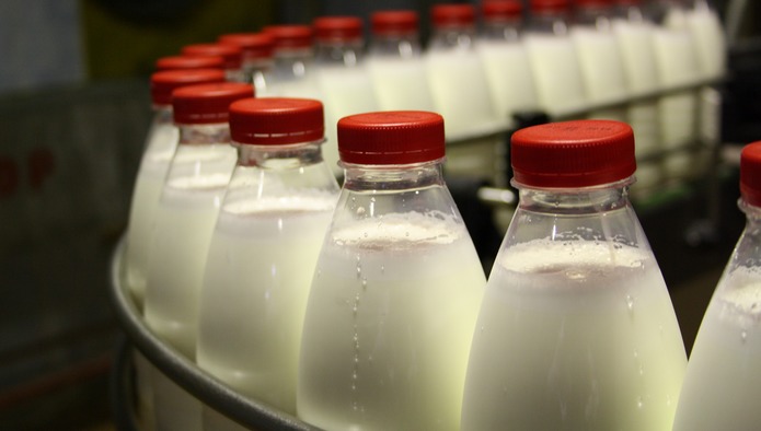 Производство молока в 2019 году вырастет на 1,5% - Минсельхоз