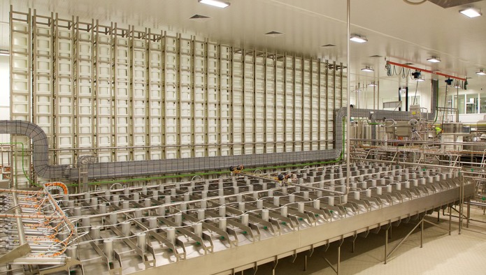 «Агрокомплекс Ткачева» наращивает выпуск молока, намерен вывести на полную мощность производство сыров
