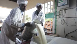 Фермеры Зимбабве планируют удвоить производство молока и отказаться от его импорта