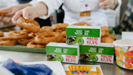 Выручка ГК «ЭкоНива» в 2024 году выросла на 29%