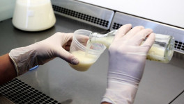 В Думе подготовили законопроект о недопуске фальсификата молочной продукции к госзакупкам