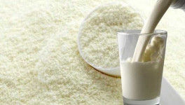 Объём российских поставок сухого молока к 2030 году превысит 50 тыс. тонн