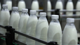 Rabobank прогнозирует «хороший год» для мировой молочной промышленности
