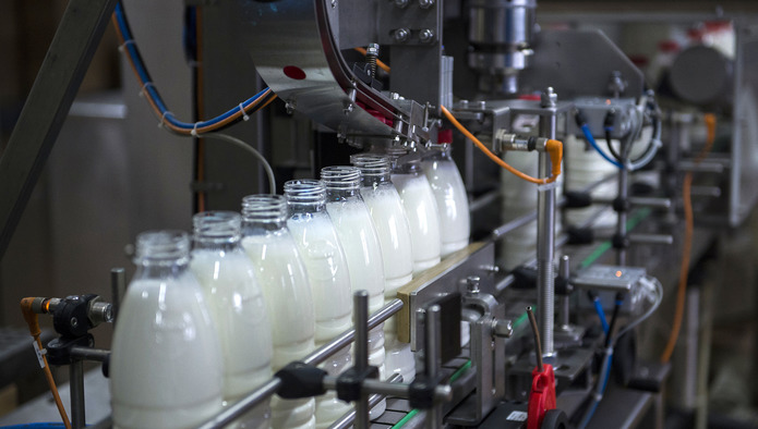 Молочные заводы в Германии опасаются отключения от энергосетей из-за экономии газа