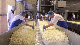 Молочный завод «Мясниковский» запустил новую линию по производству творога