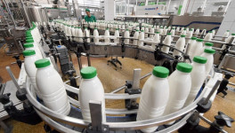 В Калужской области снова отложили ввод молокозавода вьетнамской TH Group