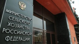 Минсельхоз РФ разработал правила предоставления стимулирующей и компенсирующей субсидий