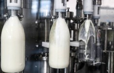 Минсельхоз РФ перенёс на 1 ноября обязательную ветсертификацию части готовой молочной продукции