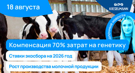 Новости за 5 минут: компенсация 70% затрат на генетику, ставки экосбора на 2026 год, рост производства молочной продукции