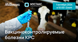 1 октября Milknews и «Мустанг Технологии Кормления» проведут вебинар «Вакциноконтролируемые болезни КРС»