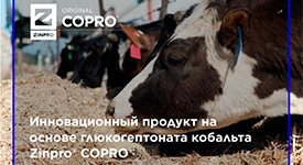 Как оптимизировать содержание кобальта в кормах молочного скота?