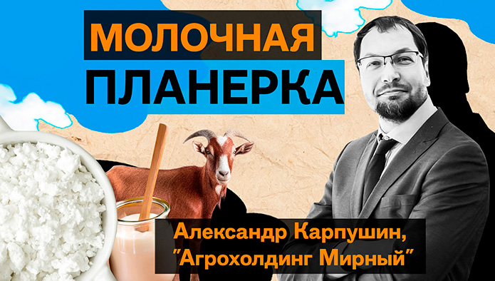 Александр Карпушин, Агрохолдинг «Мирный». «Молочная планерка»