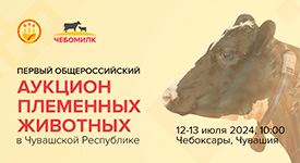 в Чувашии пройдет Первый общероссийский аукцион племенных животных