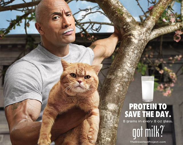 Как кампания Got Milk? изменила представление американцев о молоке