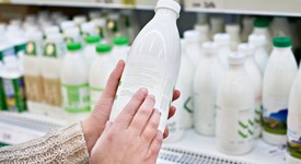 Rabobank: чего ждать мировой молочной отрасли в 2019 году