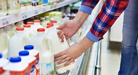 Россия сократила импорт молочной продукции в I квартале 2018 года