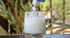 Рост розничных цен на молочные продукты продолжает замедляться