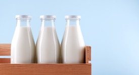 Экспорт молочной продукции из РФ вырос на 5%