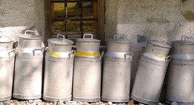 Производство сырого молока в РФ увеличилось на 1,5%