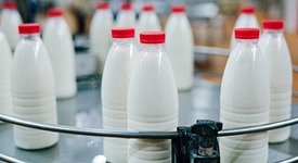 Производство товарного молока в хозяйствах всех категорий в январе 2018 года выросло на 5,4%