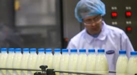 Уровень цен на молочные продукты в июне вырос на 5,4%