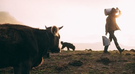 Импорт молочной продукции остается заметно ниже прошлогоднего уровня