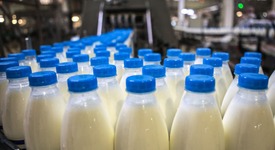 Производство молока в товарном секторе выросло на 3.6%