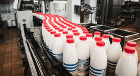 Экспорт молочной продукции из РФ вырос на 5%