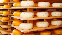 Производство сыров снизилось почти на 2%