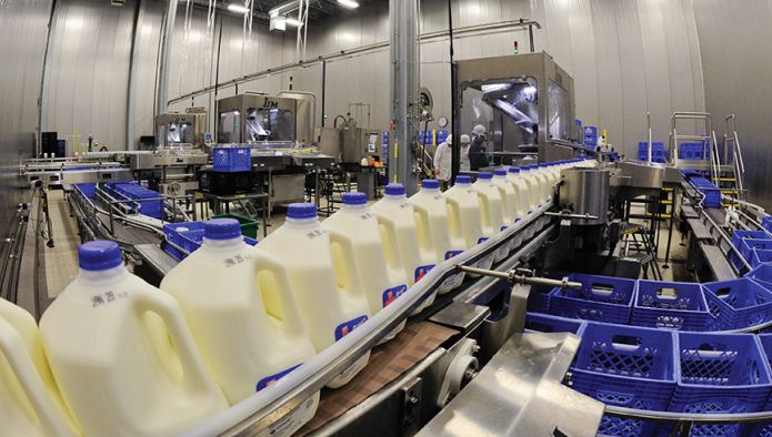Импорт молочной продукции вырос на 40% в первые месяцы 2019 года