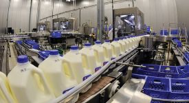 Импорт молочной продукции вырос на 40% в первые месяцы 2019 года