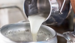 Производство сырого молока выросло на 3,2%