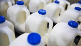 Импорт молочной продукции вырос на 7%