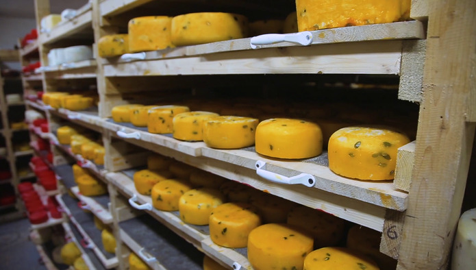 Запасы основных категорий молочной продукции в РФ в 5 графиках
