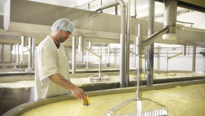 Производство молочной сыворотки выросло на 6,3%