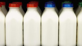 Экспорт молочной продукции вырос на 4%