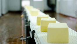 Производство сливочного масла выросло на 0,5%