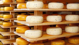 Производство сыров и сырных продуктов выросло на 12,4%