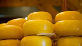 Импорт молочной продукции вырос на 0,5%