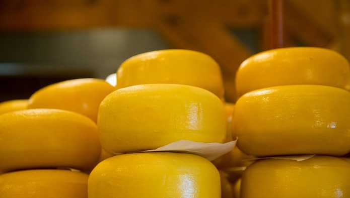 Импорт молочной продукции вырос на 0,5%