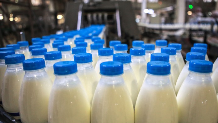 Производство молока в товарном секторе выросло на 3.6%