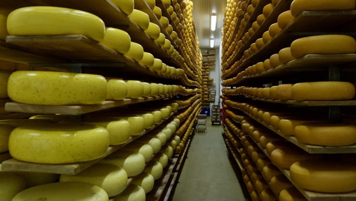 Импорт молочной продукции в РФ вырос на 20%