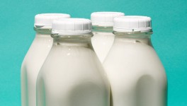 Экспорт молочной продукции вырос на 25%