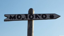 Экспорт молочной продукции вырос на 10%