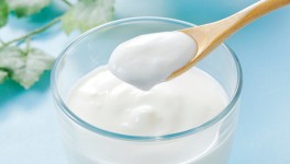 Производство кисломолочной продукции выросло на 1,3%